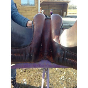 Selle stubben dressage