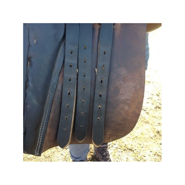 Selle stubben dressage