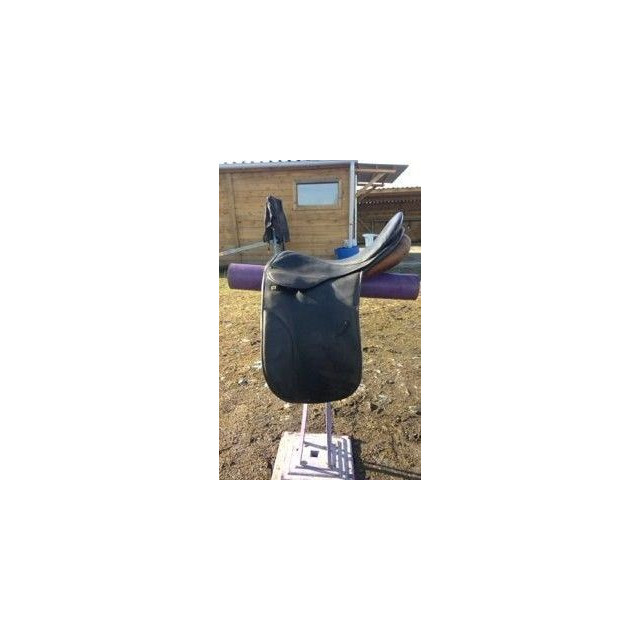 Selle stubben dressage