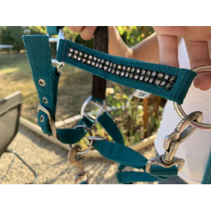 licol turquoise à strass