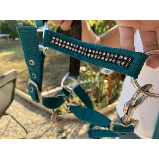 licol turquoise à strass