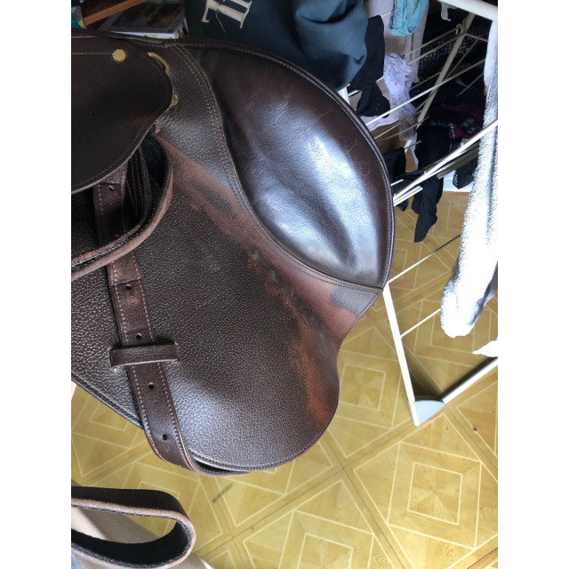 Selle Time rider