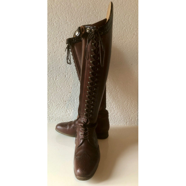 Bottes dressage CELERIS marron