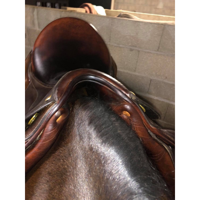 Selle de dressage BRUNO DELGRANCE