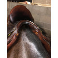 Selle de dressage BRUNO DELGRANCE