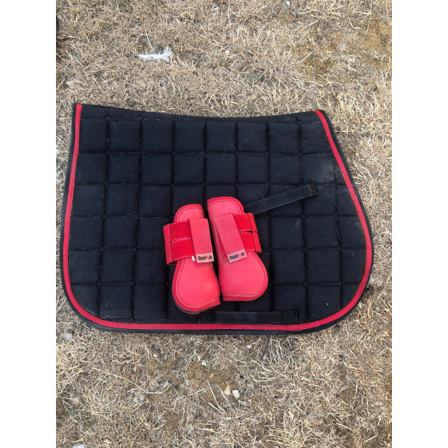 Tapis Daslo + guêtres Horze