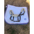 Lot tapis + licol mouton synthétique