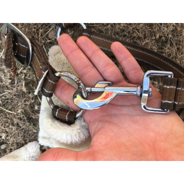 Lot tapis + licol mouton synthétique