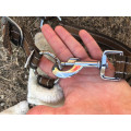 Lot tapis + licol mouton synthétique
