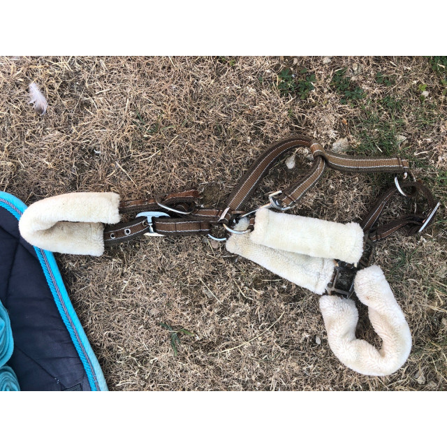Lot tapis + licol mouton synthétique
