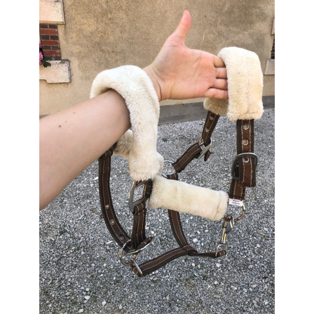 Lot tapis + licol mouton synthétique