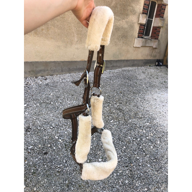 Lot tapis + licol mouton synthétique