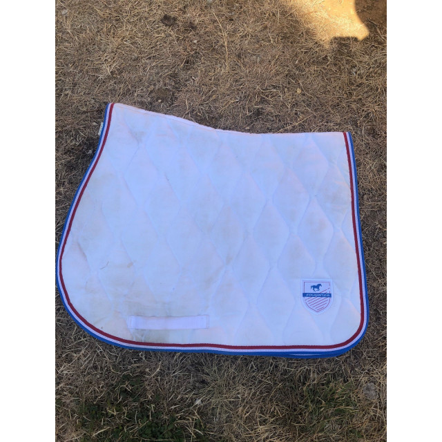 Lot tapis + licol mouton synthétique