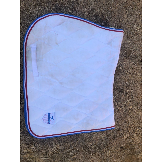 Lot tapis + licol mouton synthétique