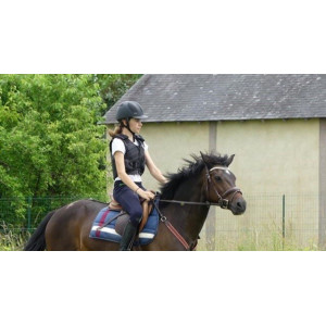 Collier de chasse martingale