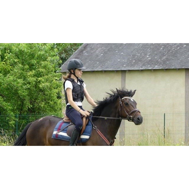 Collier de chasse martingale