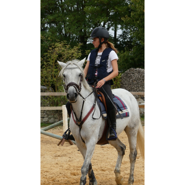 Collier de chasse martingale