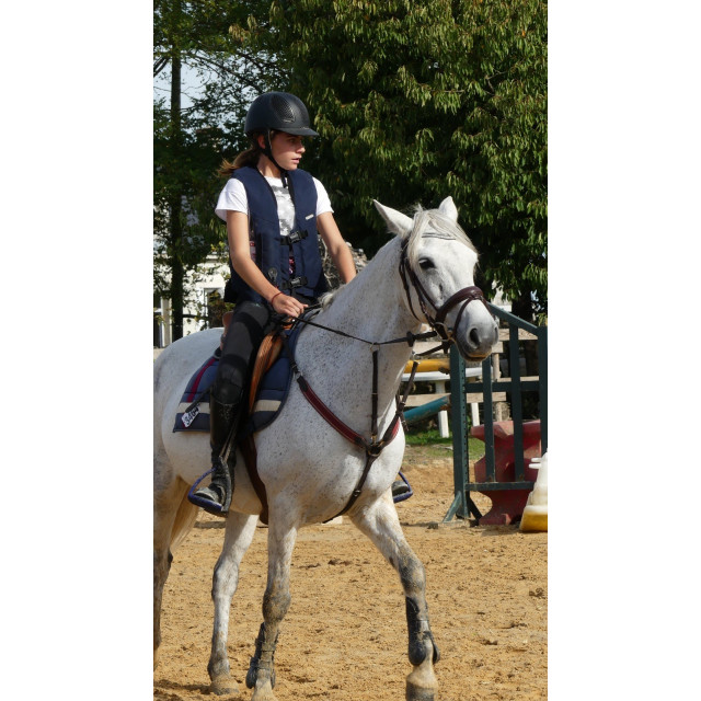Collier de chasse martingale