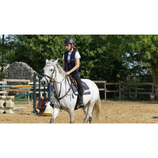 Collier de chasse martingale