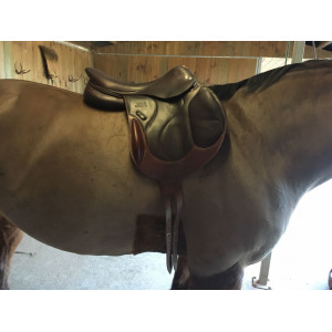 Vend selle DEVOUCOUX CHIBERTA 2016 - 17.5 - 2 000€