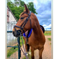 Filet/bridon horze