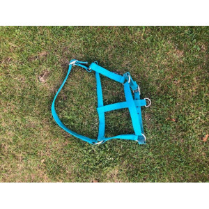 LICOL BLEU TURQUOISE FOUGANZA