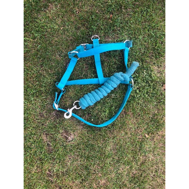 LICOL BLEU TURQUOISE FOUGANZA