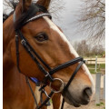 Bridon noir muserolle combinée