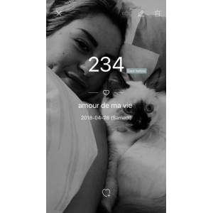 selle Eric Thomas Hybrid Jump