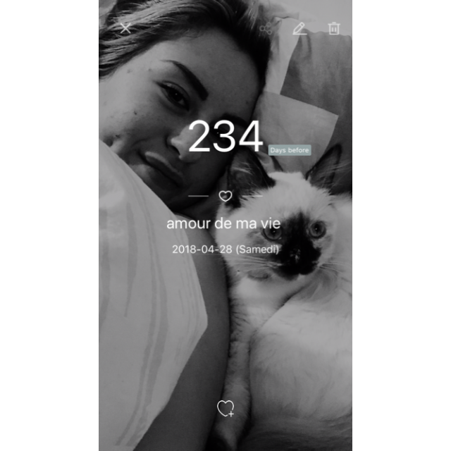 selle Eric Thomas Hybrid Jump