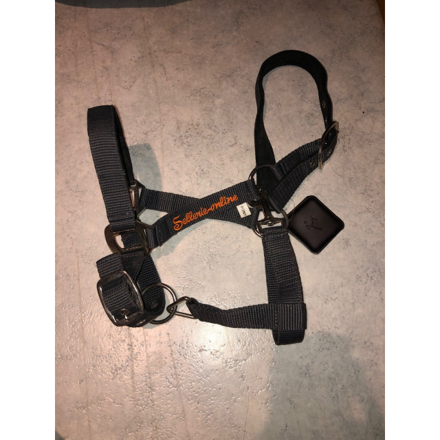 Licol noir taille poney