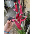 licol bordeaux