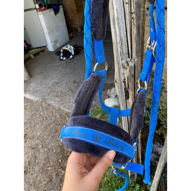 licol bleu roi taille poney