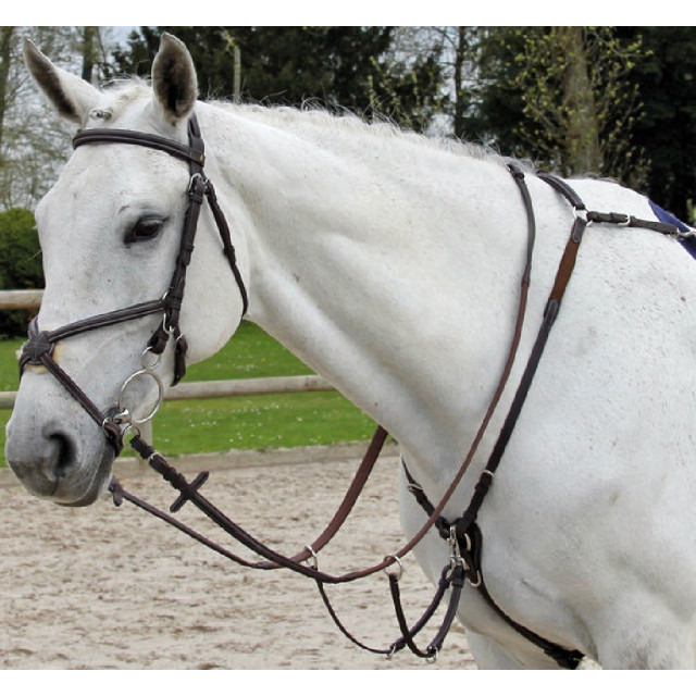 Collier de chasse Fancy Richtan Treadstone