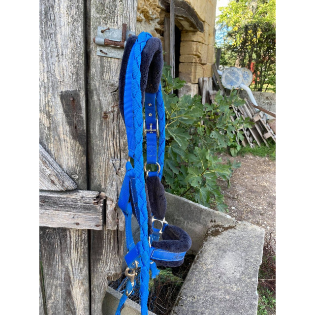 licol bleu roi taille poney