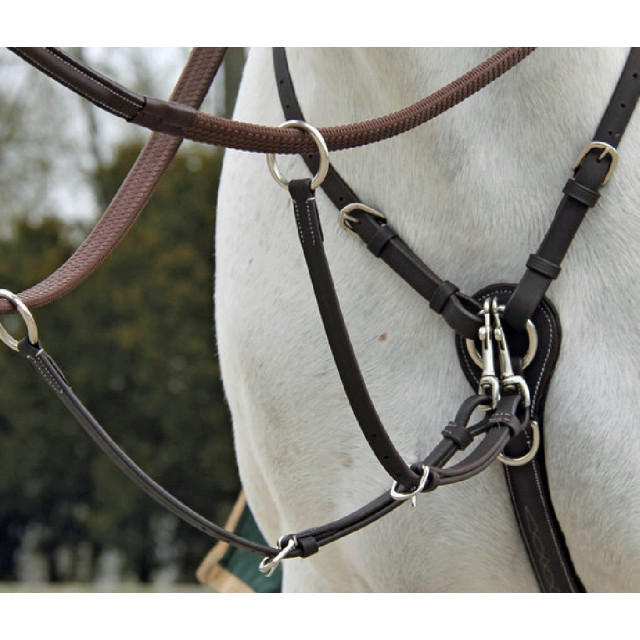 Collier de chasse Fancy Richtan Treadstone
