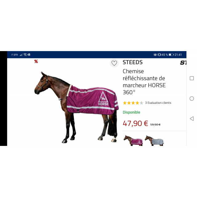 Couverture réfléchissante taille poney