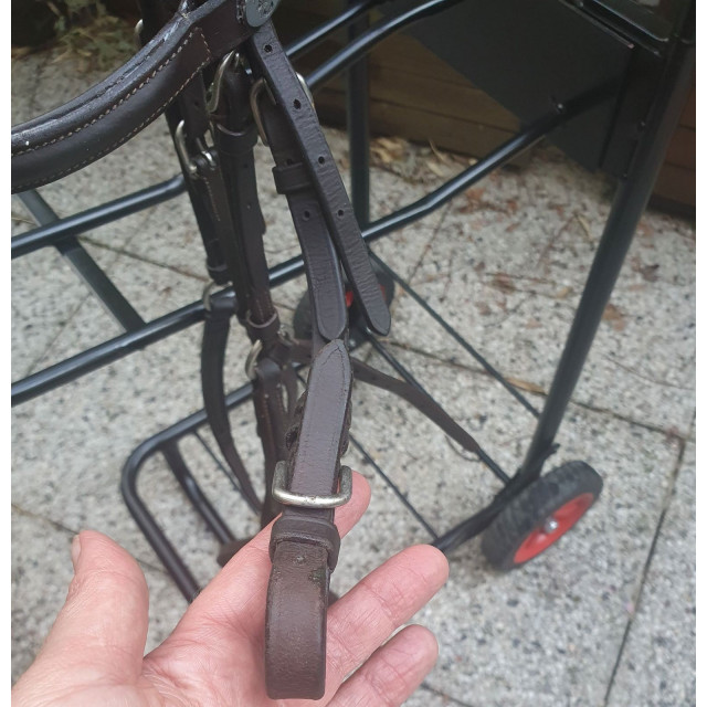 filet muserolle croisée  marron avec moumoute taille COB