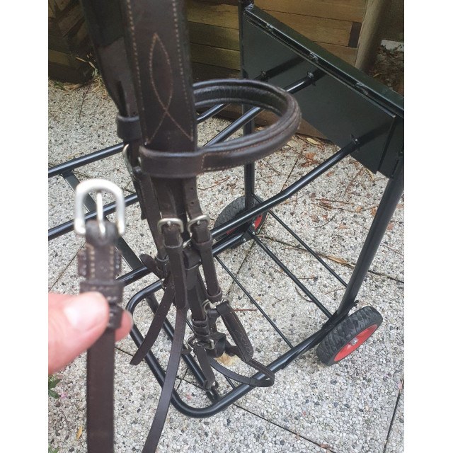 filet muserolle croisée  marron avec moumoute taille COB