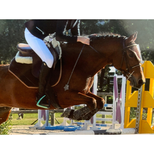 Ensemble tapis+bonnet paddock sport