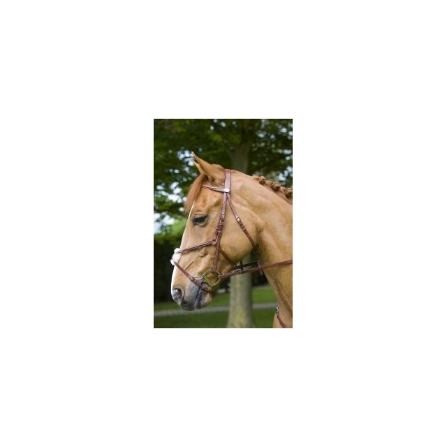 Bridon Hervé Godignon