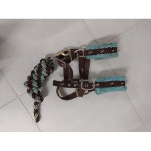 Licol avec longe bleu et marron Padd
