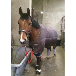 Couverture horseware