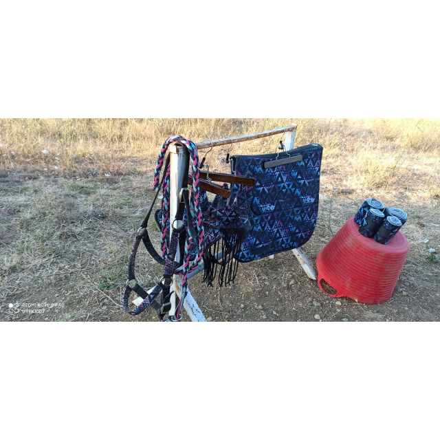Ensemble complet tapis bonnet bande et licol