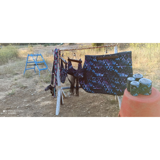 Ensemble complet tapis bonnet bande et licol