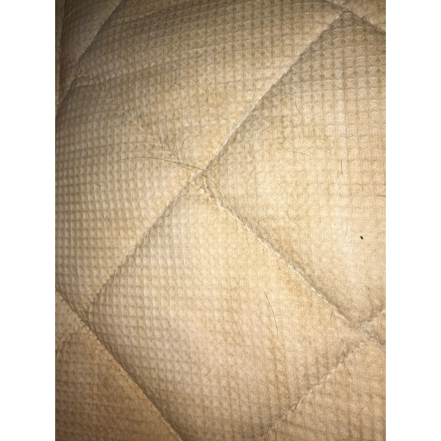 tapis bleu roi