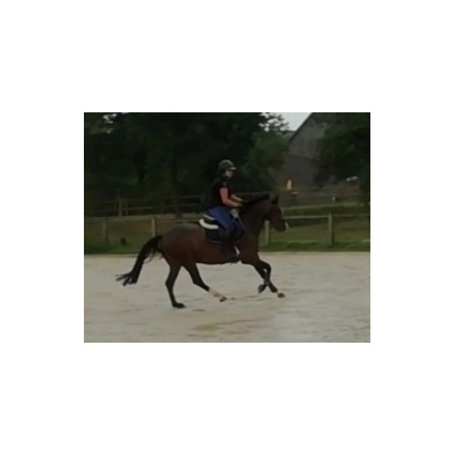 Casque Antarès premium