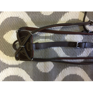 Collier de chasse cheval Dy’on