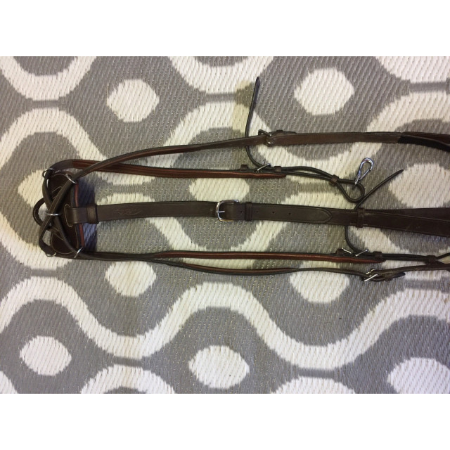Collier de chasse cheval Dy’on