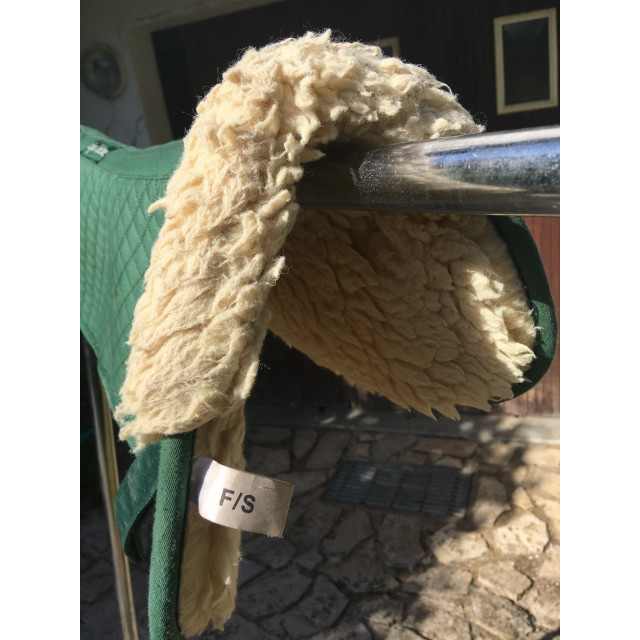 Amortisseur équithème mouton